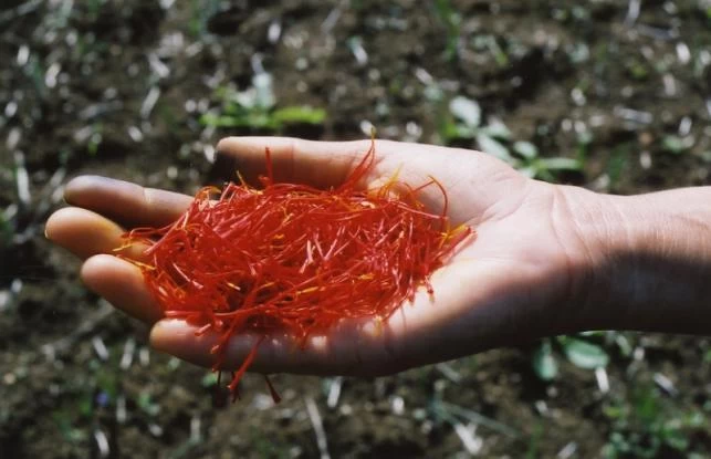 Η ελληνική υπερτροφή που προστατεύει καρδιά και μυαλό